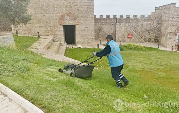 Körfez'de yabani otlar temizleniyor