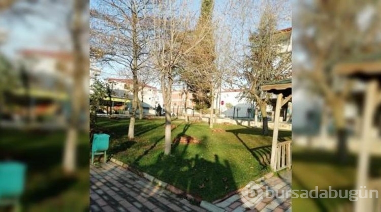 Körfez'de yabani otlar temizleniyor
