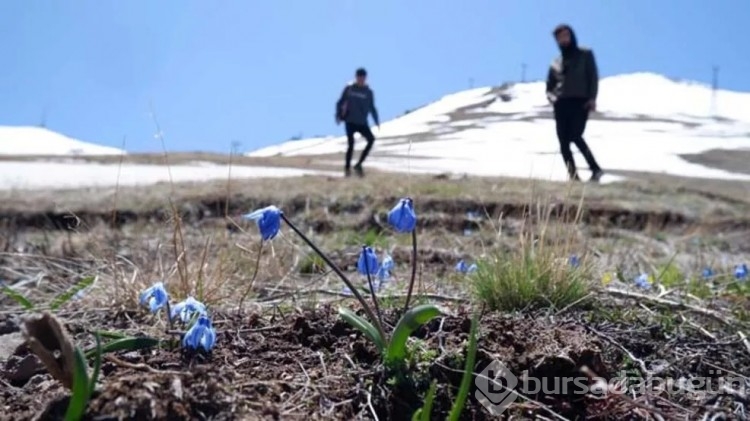 Palandöken beyaz örtüsünü koruyor