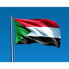 Sudan'da ordu ile çatışan HDK ateşkese hazır
