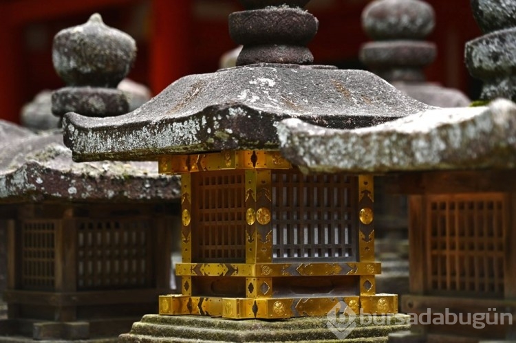 Japonya'nın eski başkenti Nara'dan kareler