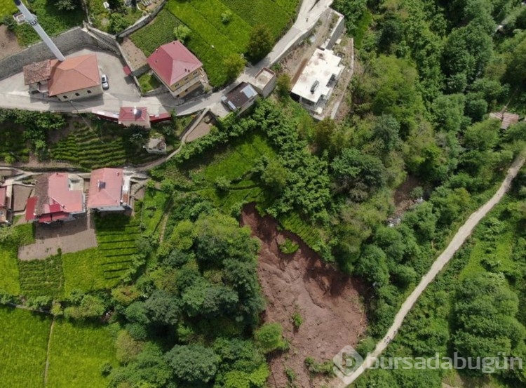 Trabzon'da korkutan anlar! Çay bahçesinde yaşandı