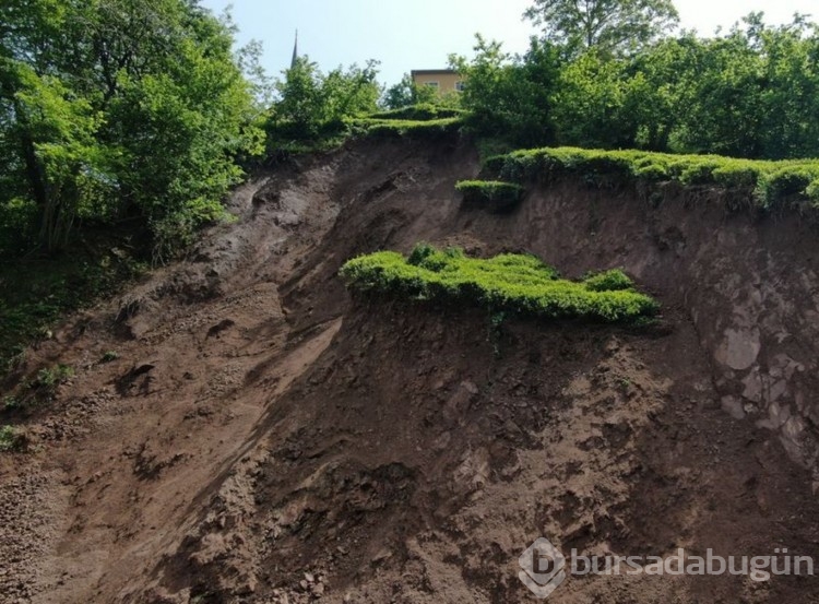 Trabzon'da korkutan anlar! Çay bahçesinde yaşandı