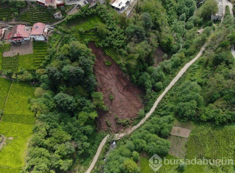 Trabzon'da korkutan anlar! Çay bahçesinde yaşandı