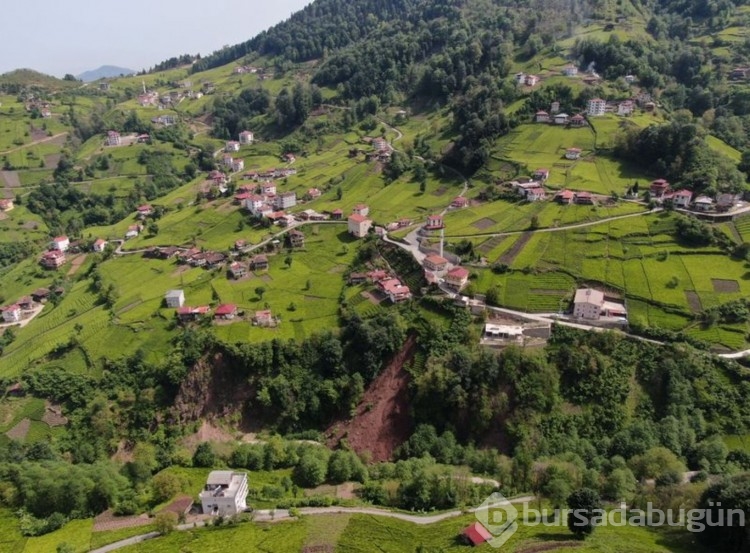 Trabzon'da korkutan anlar! Çay bahçesinde yaşandı