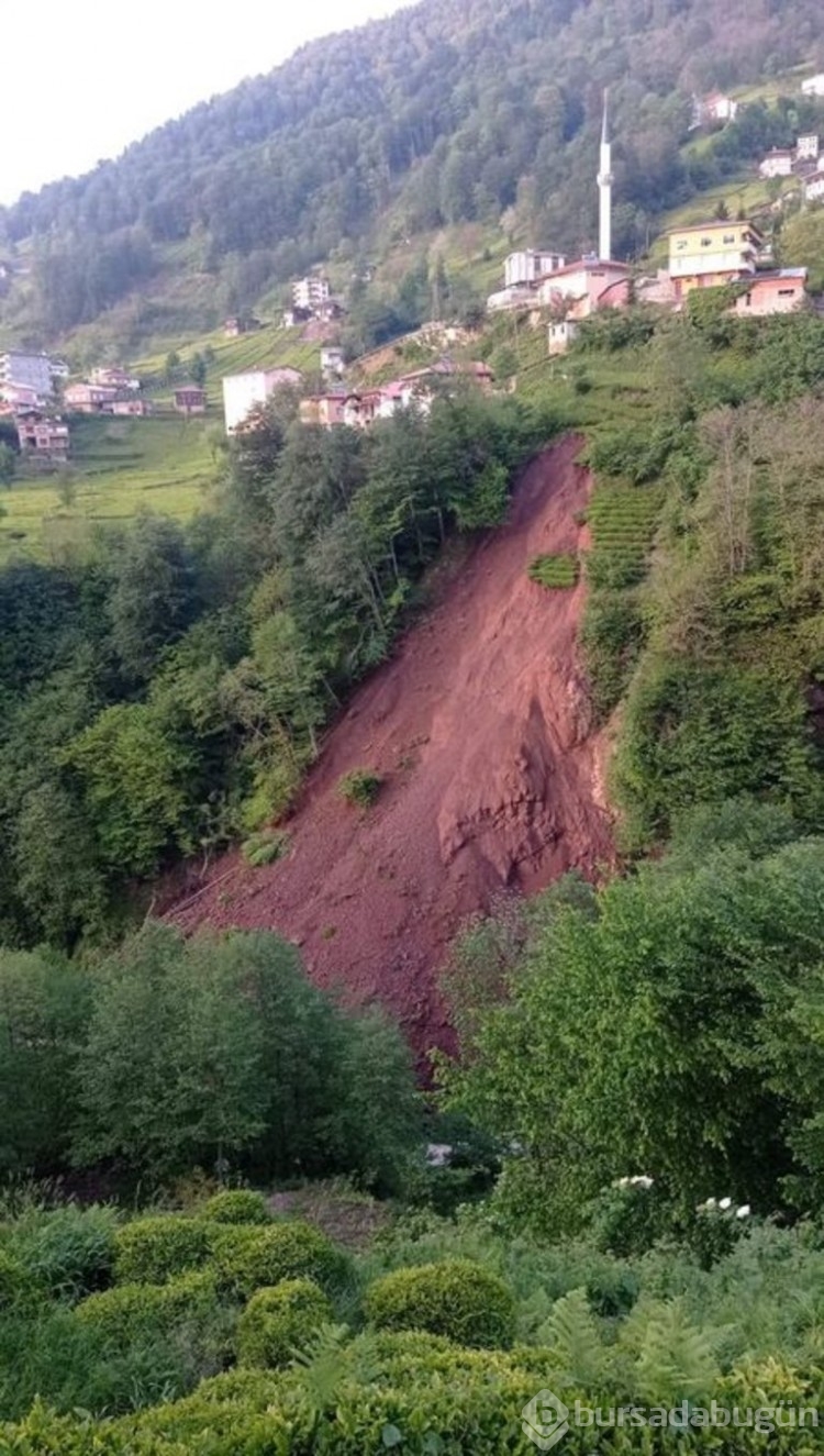 Trabzon'da korkutan anlar! Çay bahçesinde yaşandı