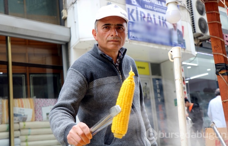 Süt mısırları tezgaha indi