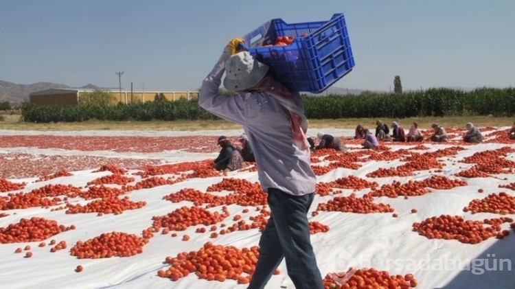 Mevsimlik işçinin hakları nedir?