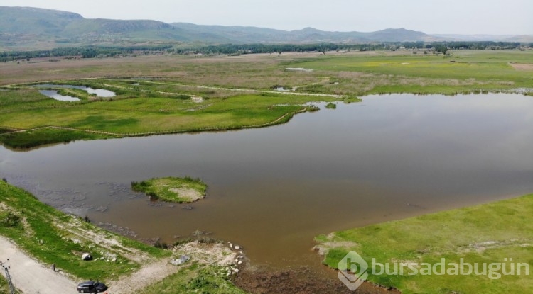 Kaz Gölü 110 kuş türüne ev sahipliği yapıyor