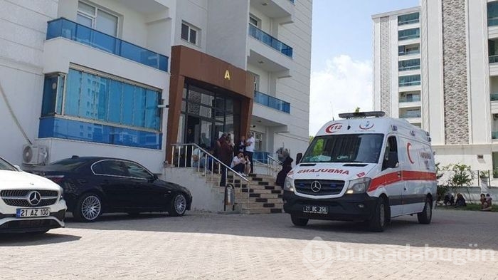 Cani koca, Basra'yı uykusunda katletti!