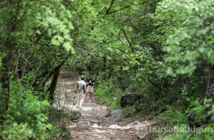 Büyük İskender'in surların aşamadığı tek şehir: Termessos