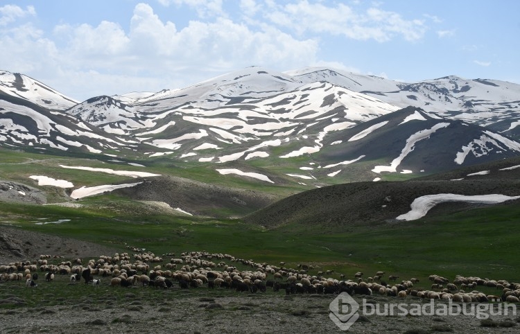 Şırnak yaylalarında kartpostallık fotoğraflar