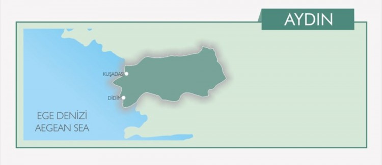 Türkiye'nin mavi bayraklı plajları