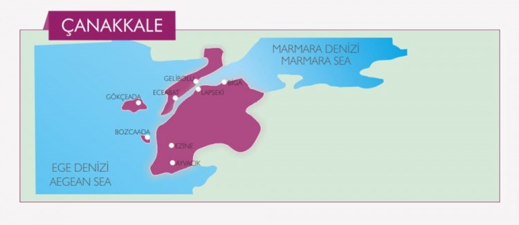 Türkiye'nin mavi bayraklı plajları