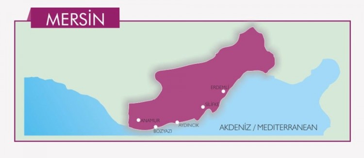 Türkiye'nin mavi bayraklı plajları