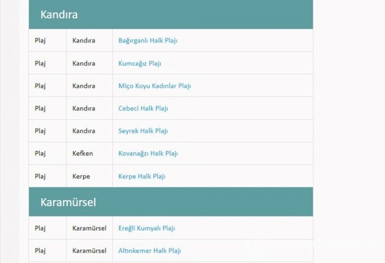 Türkiye'nin mavi bayraklı plajları