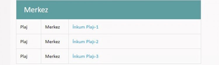 Türkiye'nin mavi bayraklı plajları