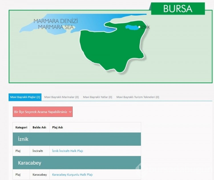 Türkiye'nin mavi bayraklı plajları