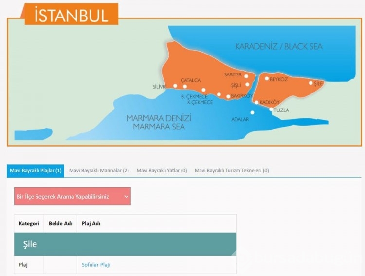 Türkiye'nin mavi bayraklı plajları