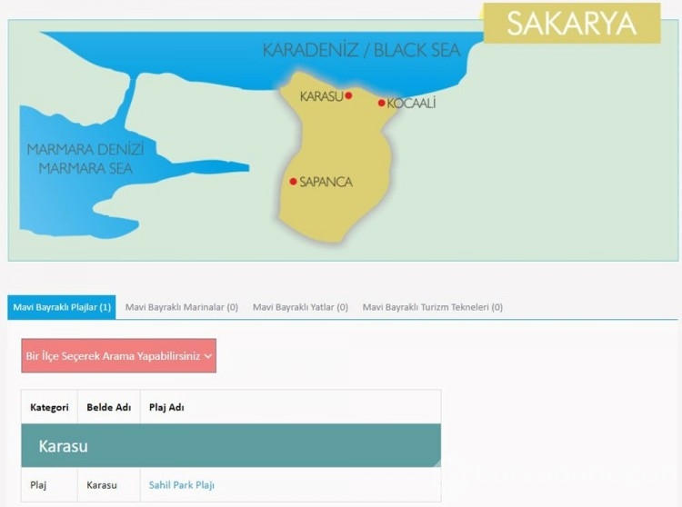 Türkiye'nin mavi bayraklı plajları