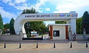 Annesiz kalan 4 kartal yavrusuna, Karatay Hayvanat Bahçesi sahip çıktı
