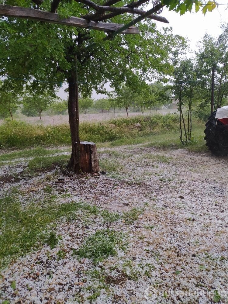 Elazığ'ın Baskil ilçesini dolu vurdu