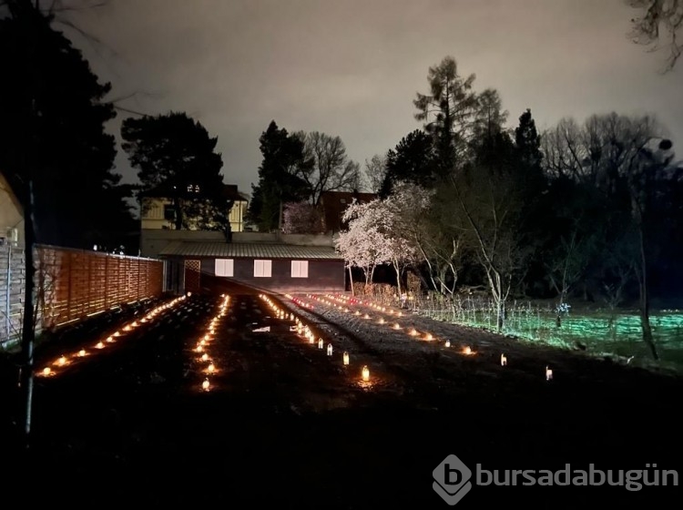 Polonya'da bir villanın bahçesinde 128 kişilik toplu mezar bulundu