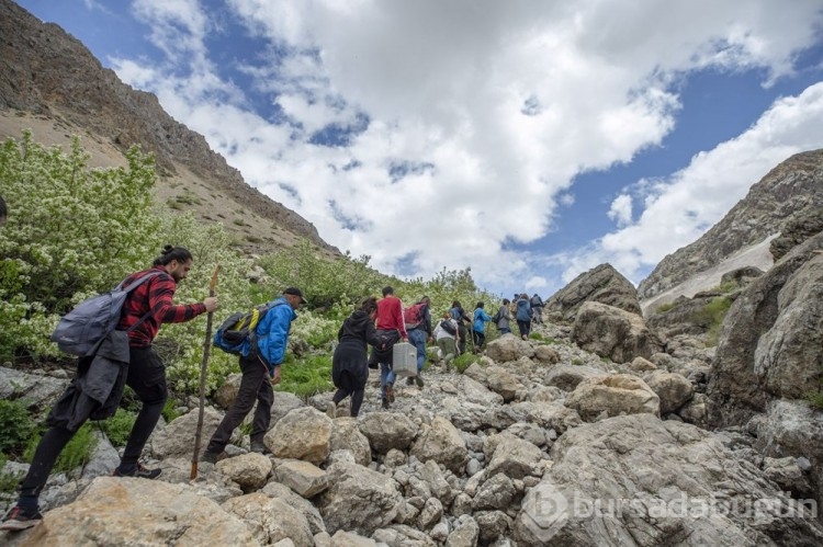 Tunceli'ye gelen doğa tutkunları ters laleler eşliğinde gezinti yapıyor