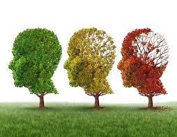 "Demans ile Alzheimer aynı hastalık değil"
