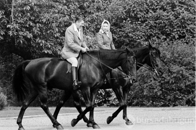 II. Elizabeth'e suikast raporu
