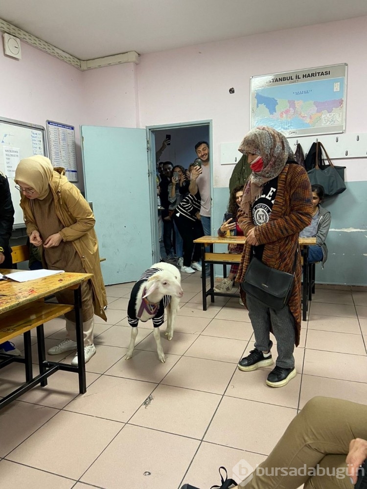 Sandık başında ilginç kareler
