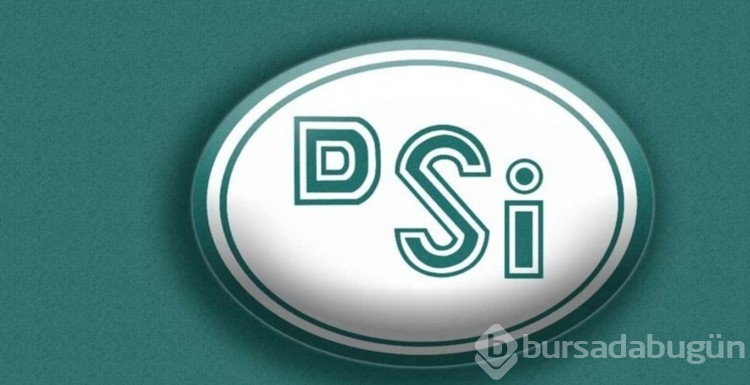 DSİ kura sonucu sorgulama