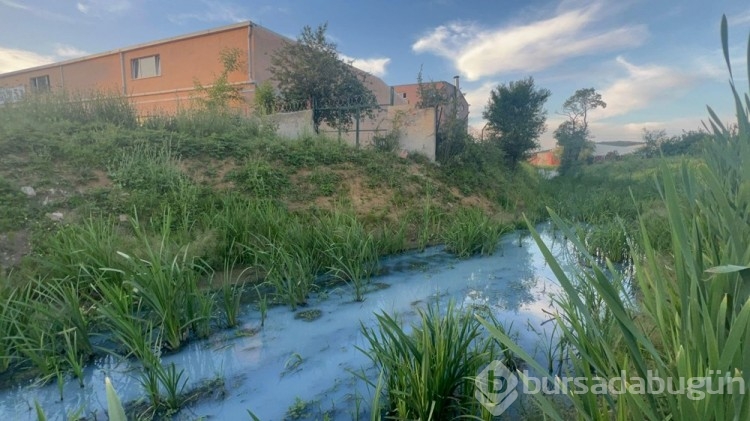 Arnavutköy'de  Alibeyköy Barajı'na ulaşan derenin rengi maviye döndü