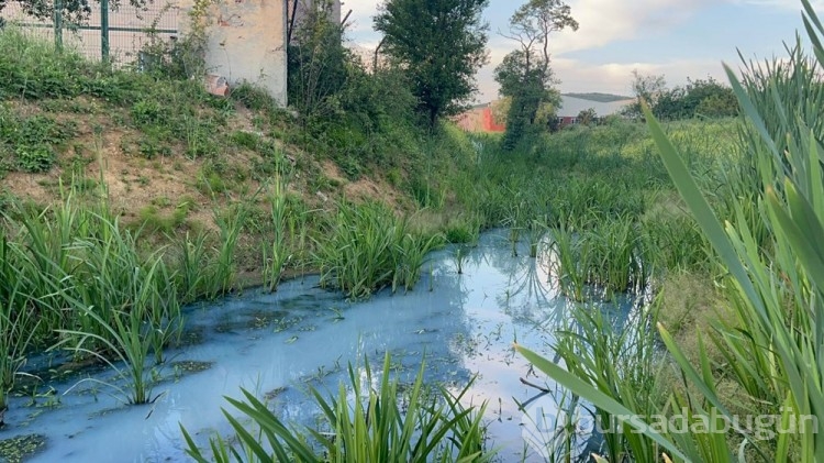 Arnavutköy'de  Alibeyköy Barajı'na ulaşan derenin rengi maviye döndü
