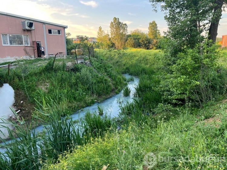 Arnavutköy'de  Alibeyköy Barajı'na ulaşan derenin rengi maviye döndü