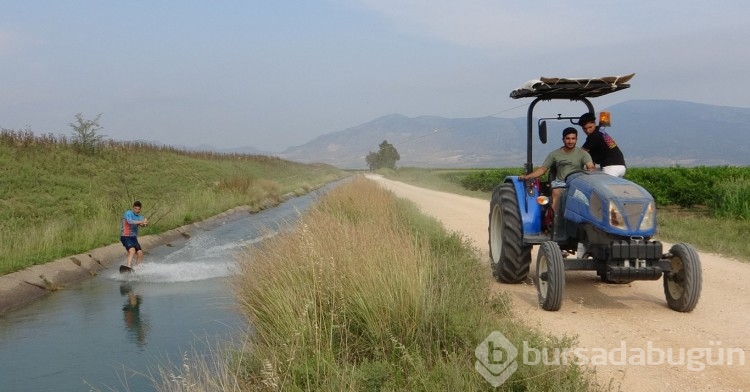 Adana'da sulama kanalında traktörle sörf