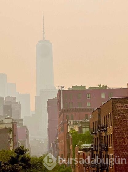 Kanada'daki orman yangınlarının dumanı New York'a ulaştı