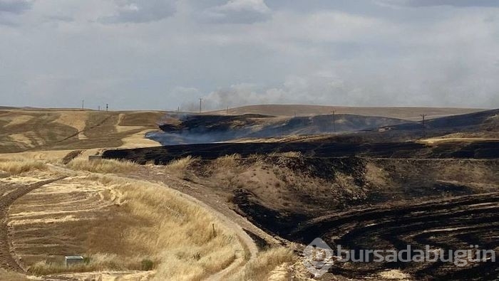 Diyarbakır Bismil'de arazi kavgası! 9 kişi öldü