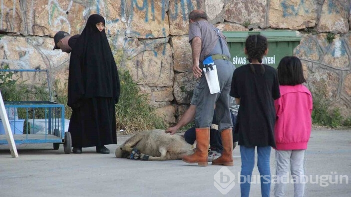 Kurban kesiminde çocuklar duygusal anlar yaşadı 
