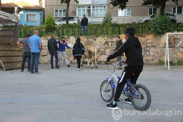 Kurban kesiminde çocuklar duygusal anlar yaşadı 
