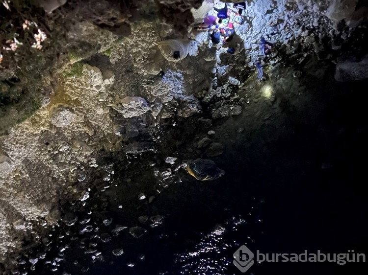 Bozcaada'da gün batımı izlerken uçurumdan düştü