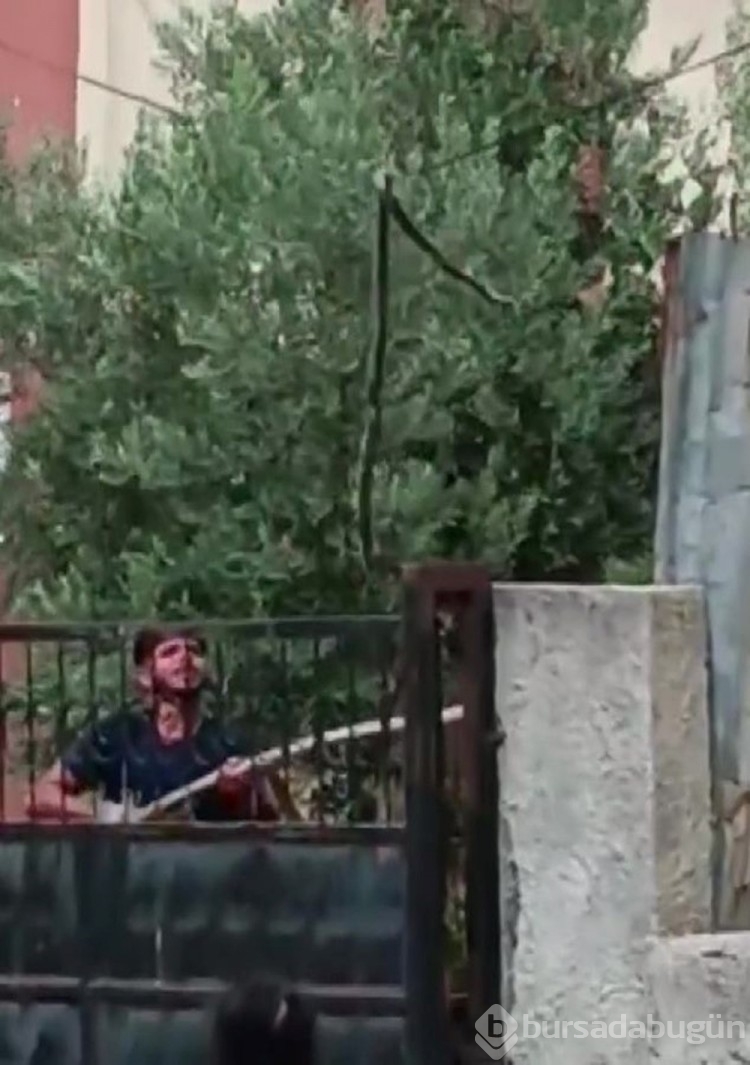 Adana'da hava ısınınca yılanlar ortaya çıktı