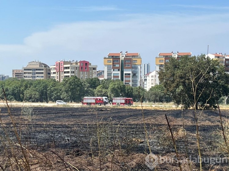 Bursa Ataevler'de anız yangını  