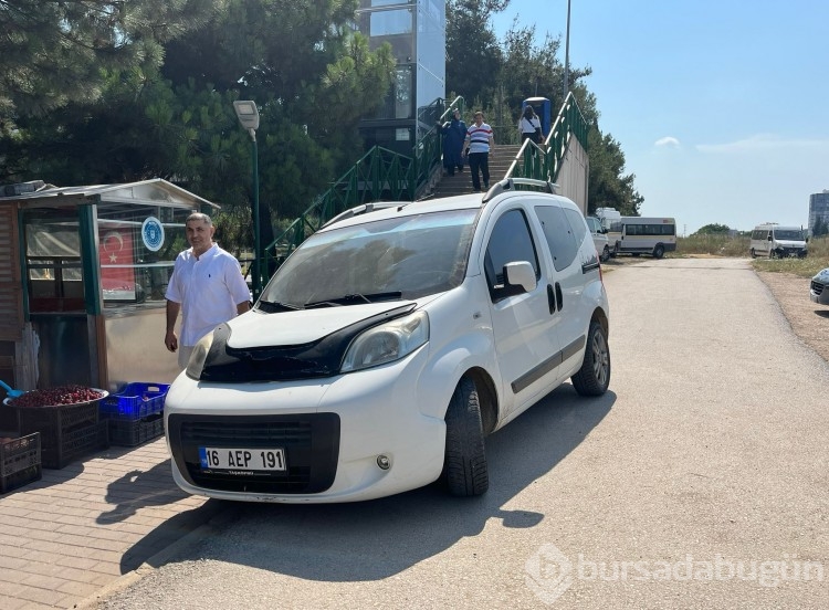 Bursa Ataevler'de anız yangını  
