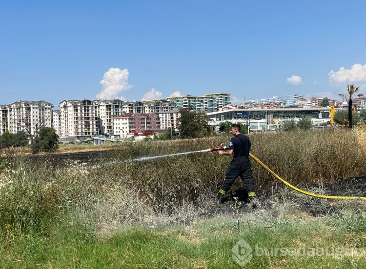 Bursa Ataevler'de anız yangını  