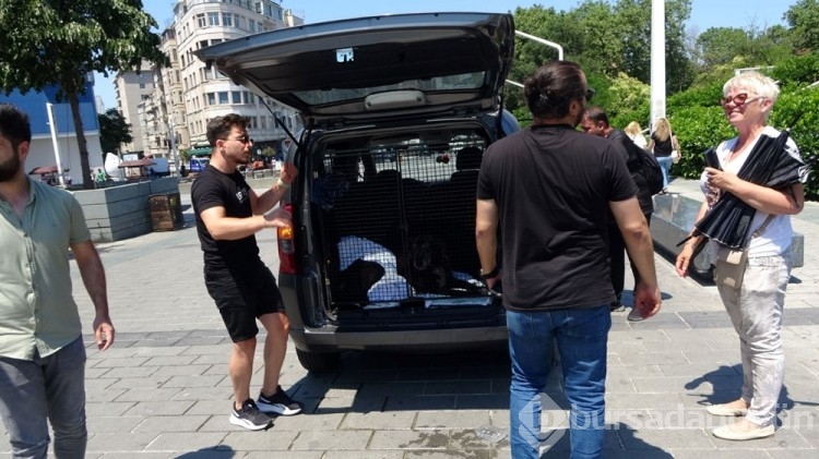 Yaralı köpek için seferber oldu... Taksim Meydanı'nda bir turist kadın, yaralı köpeği fark edince...