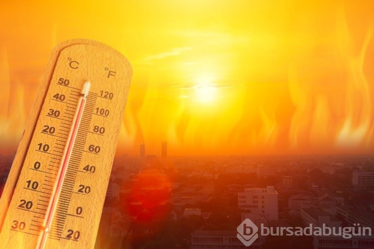 Sıcaklık rekorları daha da artacak... Dünya Meteoroloji Örgütü uyardı