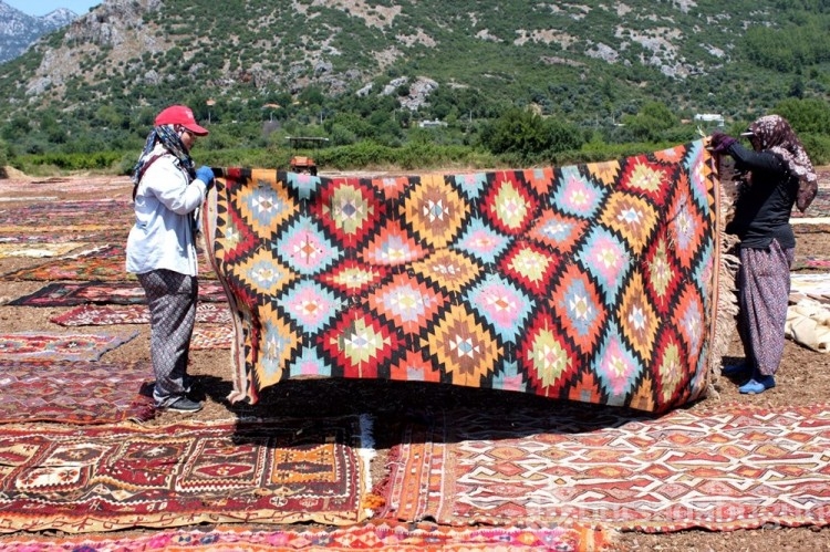 Buğday arazileri halı tarlasına dönüştü! Hepsi yurt dışına gidiyor
