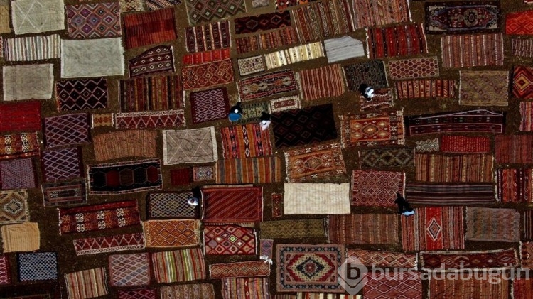 Buğday arazileri halı tarlasına dönüştü! Hepsi yurt dışına gidiyor