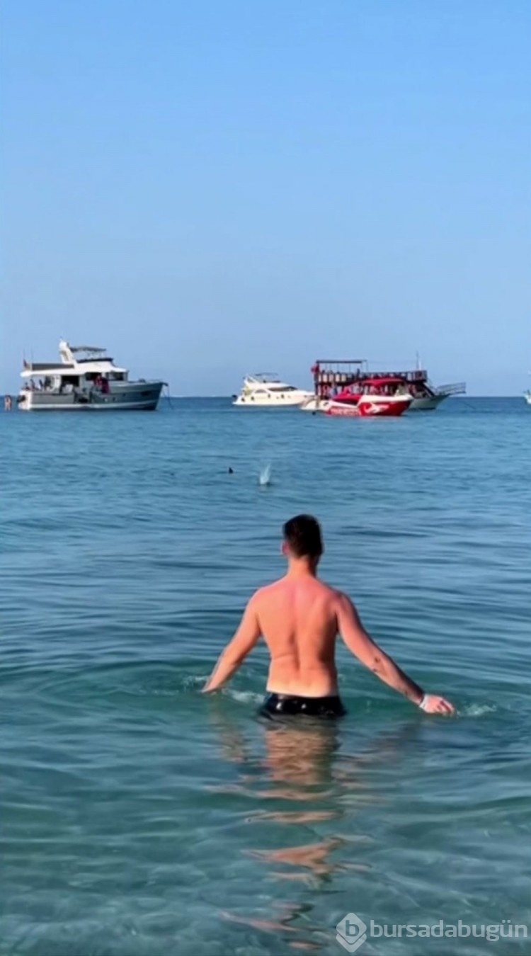 Nadir türü köpek balığı sanıp taşladılar...

